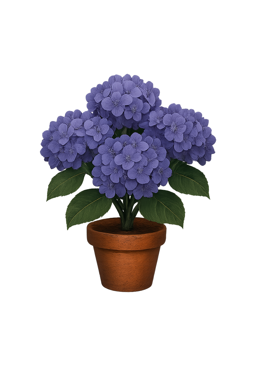 Purple Hydrangeas